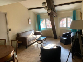 Toulouse centre: T2 bis dans immeuble historique